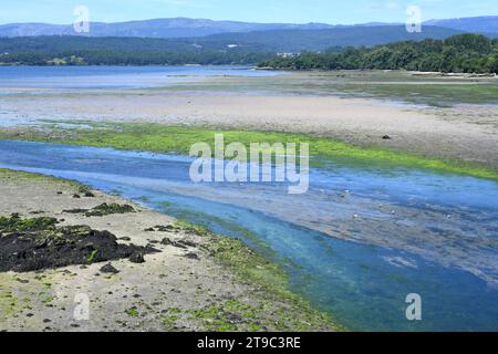 Ria de Arosa oder Arousa in Rianxo. A Coruna, Galicien, Spanien. Stockfoto