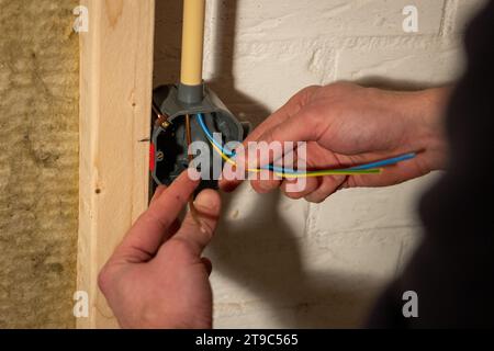 Aufbau und Installation von elektrischen Leitungen mit der braunen Phase, dem blauen Neutralleiter und dem gelben Erdungskabel in einem Haus mit Hohlwandgehäusen Stockfoto