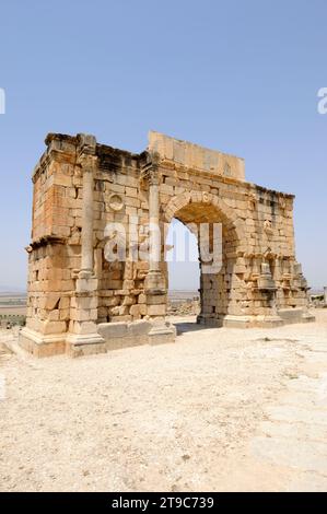 Volubilis, Berber und römische Stadt (vom 3.. Jahrhundert v. Chr. bis zum 11.. Jahrhundert AC), Weltkulturerbe. Arch von Caracalla, Nordseite. Meknes, Marokko. Stockfoto