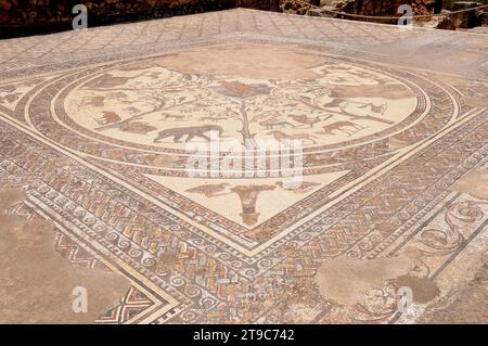 Volubilis, Berber und römische Stadt (vom 3.. Jahrhundert v. Chr. bis zum 11.. Jahrhundert AC), Weltkulturerbe. Haus des Orpheus. Meknes, Marokko. Stockfoto