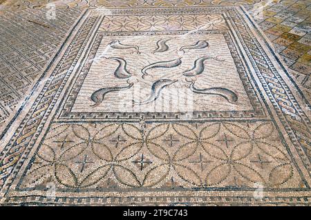 Volubilis, Berber und römische Stadt (vom 3.. Jahrhundert v. Chr. bis zum 11.. Jahrhundert AC), Weltkulturerbe. Haus des Orpheus. Meknes, Marokko. Stockfoto