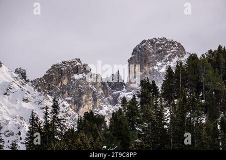 Gipfel aus felsigen Bergen, teilweise mit Schnee bedeckt, mit immergrünen Bäumen im Vordergrund und grauem Himmel auf der Spitze. Französische Alpen. Winterland Stockfoto