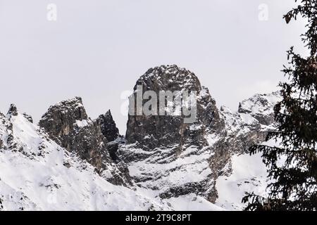 Gipfel aus felsigen Bergen, teilweise mit Schnee bedeckt, mit immergrünen Bäumen im Vordergrund und grauem Himmel auf der Spitze. Französische Alpen. Winterland Stockfoto