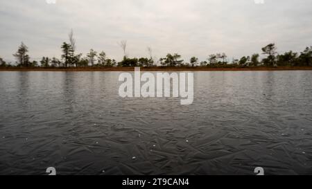 Eine harmonische Mischung – die Herbsttöne spiegeln sich auf der Oberfläche des kleinen Sees wider, verziert mit zarten Frostblumen im ruhigen Sumpf. Stockfoto