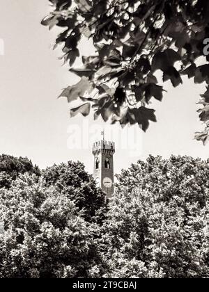 Die Zeit geht über die Natur hinaus: In einer fesselnden Schwarz-weiß-Szene taucht ein antiker Uhrturm anmutig aus den Bäumen hervor und schafft einen Zauber Stockfoto