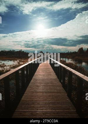 Jeder Schritt hallt mit dem Flüstern der Natur und führt entlang dieses hölzernen Weges durch eine ruhige Welt der Wildnis. Sonnig. Stockfoto