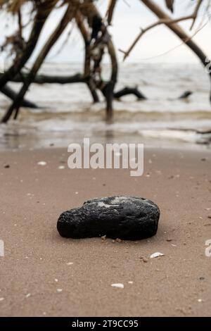 Eine Momentaufnahme der Kontraste: Das ruhige Meer, der von der Sonne geküsste Sand, ein einsamer schwarzer Felsen und die sanfte Umarmung eines gefallenen Baumes, die Poesie der Natur in einem Bild. Stockfoto