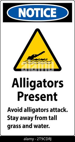 Warnschild Alligator, Gefahr - Alligatoren Sind Vorhanden Vermeiden Sie Angriffe, Halten Sie Sich Von Großem Gras Und Wasser Fern Stock Vektor