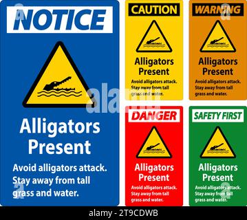 Warnschild Alligator, Gefahr - Alligatoren Sind Vorhanden Vermeiden Sie Angriffe, Halten Sie Sich Von Großem Gras Und Wasser Fern Stock Vektor