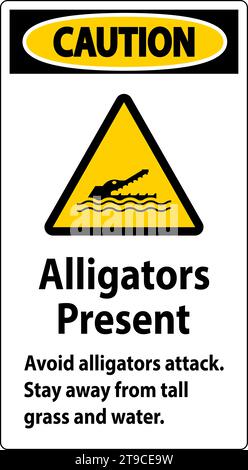 Warnschild Alligator, Gefahr - Alligatoren Sind Vorhanden Vermeiden Sie Angriffe, Halten Sie Sich Von Großem Gras Und Wasser Fern Stock Vektor