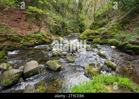 Plas Cadnant Hidden Gardens, Menai Bridge, Anglesey, Nordwales. Stockfoto