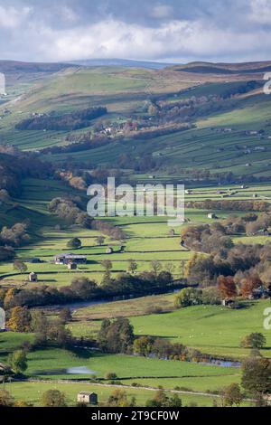 Blick auf Swaledale in Richtung Gunnerside von oben Low Row auf der High Lane. Yorkshire Dales National Park, Großbritannien. Stockfoto