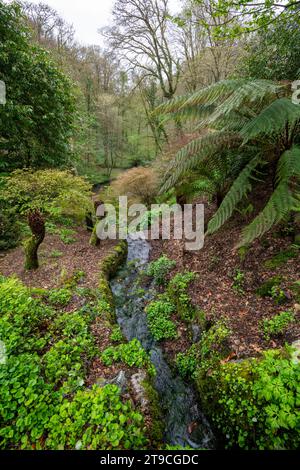 Plas Cadnant Hidden Gardens, Menai Bridge, Anglesey, Nordwales. Stockfoto