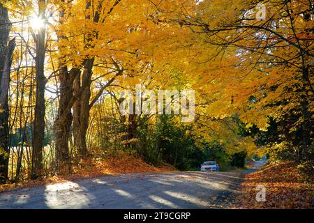 Autotour auf einer wunderschönen Landstraße mit Herbstblattfarbe und Linsenflecken Stockfoto