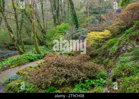 Plas Cadnant Hidden Gardens, Menai Bridge, Anglesey, Nordwales. Stockfoto