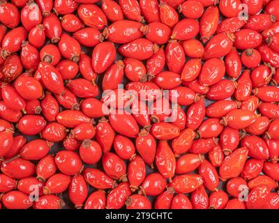 Aufgenommene Hüftrosen auf einer Ebenen Oberfläche. Blick von oben. Stockfoto