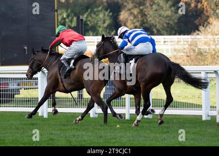 Ascot, Großbritannien. November 2023. Horse Supreme Gift (Nr. 4), geritten von Jockey Charlie Deutsch (rote und grüne Seide), macht den letzten Platz, bevor er beim November Racing to School Novices' Limited Handicap Tureple Chase auf der Ascot Racecourse gewann. Besitzer Sir T Pilkington & R A Pilkington. Trainer Henry Daly, Ludlow. Züchterin Imelda Harney. Sponsor Humphrey Butler Ltd Quelle: Maureen McLean/Alamy Live News Stockfoto