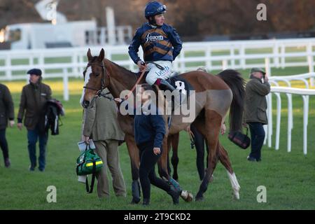 Ascot, Großbritannien. November 2023. Horse Hold, der (Nr. 8) von Jockey Charlie Deutsch geritten wurde, gewinnt am November Racing Friday die All Seasons Scaffolding Handicap Chase auf der Ascot Racecourse. Besitzer P Davies. Trainerin Venetia Williams, Hereford. Quelle: Maureen McLean/Alamy Live News Stockfoto