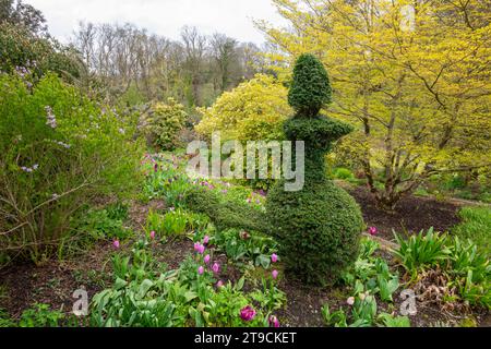 Plas Cadnant Hidden Gardens, Menai Bridge, Anglesey, Nordwales. Stockfoto