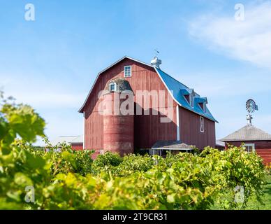 Rote Scheune und Silos werden an einem sonnigen Tag über grüner Vegetation in einer Farm-Szene gesehen. Stockfoto