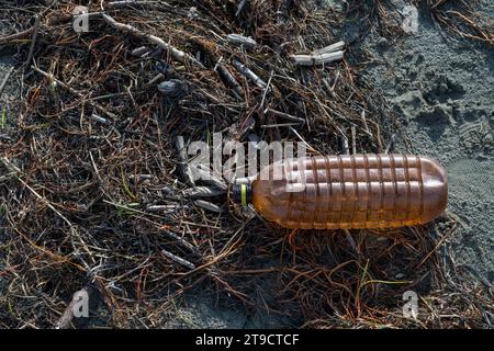 Strand in Norditalien nach einem heftigen Sturm. Plastik und Dosen kamen zusammen mit Algen aus dem Meer zurück. Verschmutzung und Abfall am Strand. Marine po Stockfoto