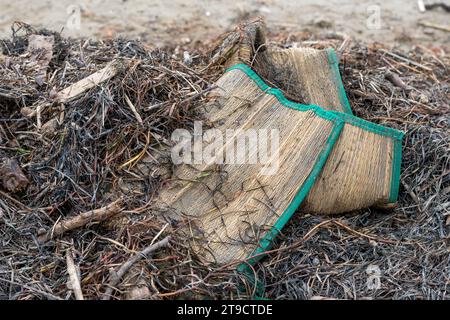 Strand in Norditalien nach einem heftigen Sturm. Plastik und Dosen kamen zusammen mit Algen aus dem Meer zurück. Verschmutzung und Abfall am Strand. Marine po Stockfoto