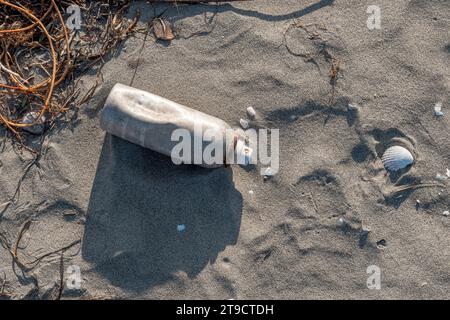 Strand in Norditalien nach einem heftigen Sturm. Plastik und Dosen kamen zusammen mit Algen aus dem Meer zurück. Verschmutzung und Abfall am Strand. Marine po Stockfoto