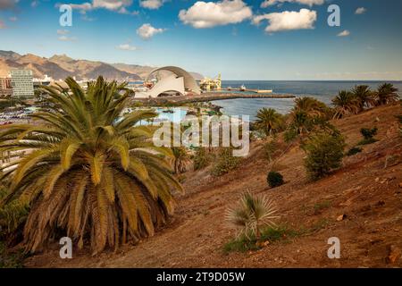 Das architektonisch beeindruckende Auditorio de Teneriffa, Auditorium, Santa Cruz de Teneriffa, Kanarische Inseln, Spanien in seiner weiten Landschaft im guten Licht Stockfoto