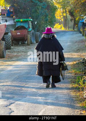 Ältere Frau, Herbstsaison, tragen schwarzes Kleid und lila Hut, gehen draußen im Arda Valley Stockfoto