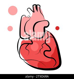 Anatomisches Herz - Flache Grafik Stock Vektor