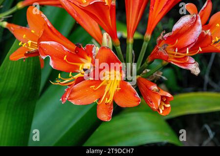 Bolton Street Memorial Park in Wellington Neuseeland Stockfoto