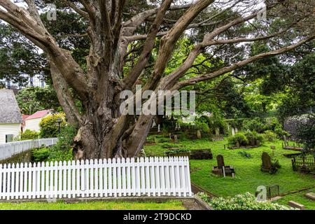 Bolton Street Memorial Park in Wellington Neuseeland Stockfoto