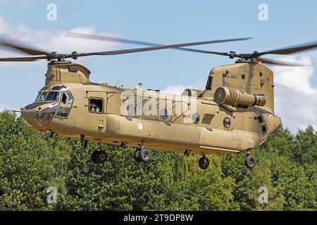 Royal Netherlands Air Force Boeing Chinook Hubschrauber Koninklijke Luchtmacht, Slope Training Fying At Vliegbasis Gilze-Rijen, Niederlande, 10.07.2023 Stockfoto