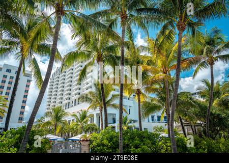 Miami Beach, Florida, USA: Hotelgebäude hinter den Palmen Stockfoto