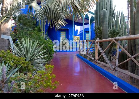 Jardin Majorelle, Marrakesch, Marokko Stockfoto