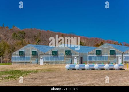 Die Charles E. Bessey Tree Nursery im Nebraska National Forest, Nebraska, USA Stockfoto