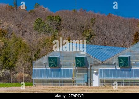 Die Charles E. Bessey Tree Nursery im Nebraska National Forest, Nebraska, USA Stockfoto