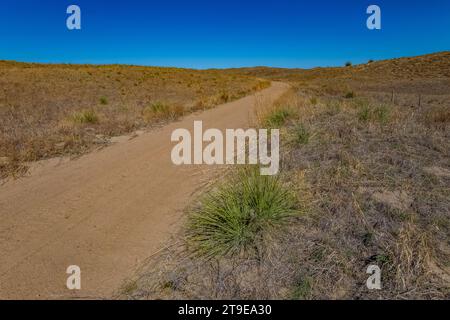 Sandhügellandschaft entlang der Straße durch den Nebraska National Forest und Grasland, Nebraska, USA Stockfoto