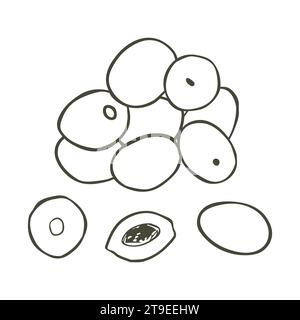 Eine Handvoll Oliven. Vektorabbildung. Handgezeichnete Oliven auf weißem Hintergrund Stock Vektor