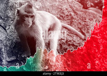 Hintergrund des Affen und aufsteigendes Diagramm der Monkeypox-Virusfälle während des Ausbruchs Stockfoto