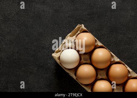 Eier Hühnchen ganz in Pappschale, auf dunklem Hintergrund, Draufsicht, Platz zum Kopieren von Text. Stockfoto