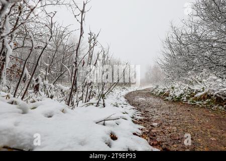 Waimes, Belgien. November 2023. Die Abbildung zeigt den ersten Schnee in Waimes in der Nähe des Baraque Michel am Samstag, den 25. November 2023. BELGA FOTO BRUNO FAHY Credit: Belga News Agency/Alamy Live News Stockfoto