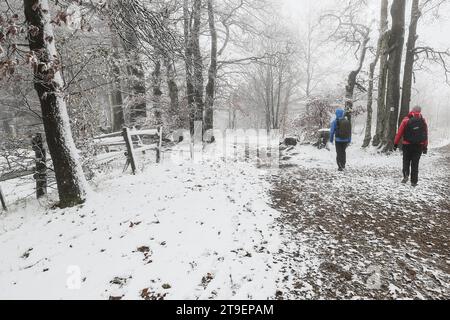 Waimes, Belgien. November 2023. Die Abbildung zeigt den ersten Schnee in Waimes in der Nähe des Baraque Michel am Samstag, den 25. November 2023. BELGA FOTO BRUNO FAHY Credit: Belga News Agency/Alamy Live News Stockfoto