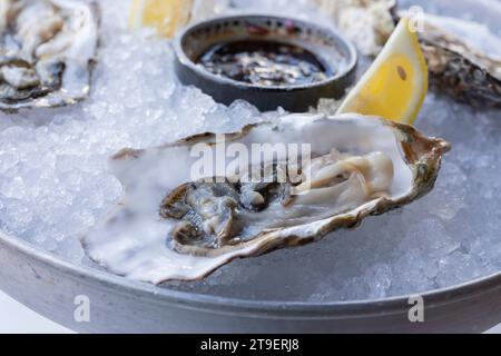 Frische Austern auf den Hälften der Schale werden auf einem Teller mit Eis, Zitronen und Sauce serviert. Das Konzept der gesunden Ernährung. Stockfoto