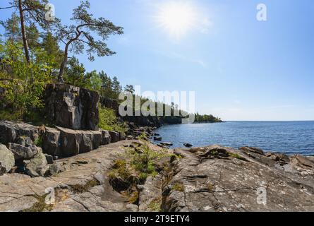 Valaam Island, felsige Küste und Pinien wachsen darauf Stockfoto