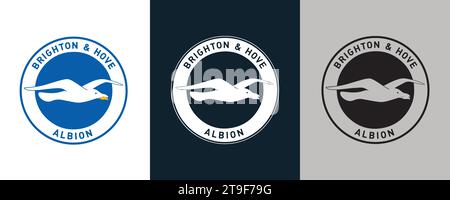 Brighton und Hove Albion FC Farbe Schwarz und weiß 3 Stil Logo englischer Profi-Fußballverein Vektor-Illustration abstraktes bearbeitbares Bild Stock Vektor