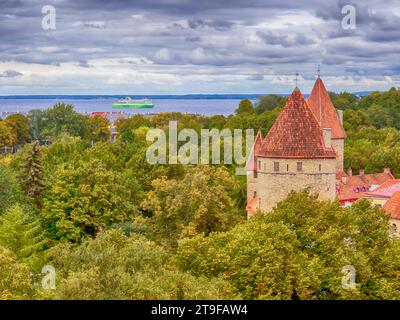 Tallinn, Estland - September 2022: Blick auf Tallinn von der Aussichtsplattform (auf Estnisch: 'Patkuli vaateplats') mit einem Teil der Verteidigungsmauer und Türme. Stockfoto