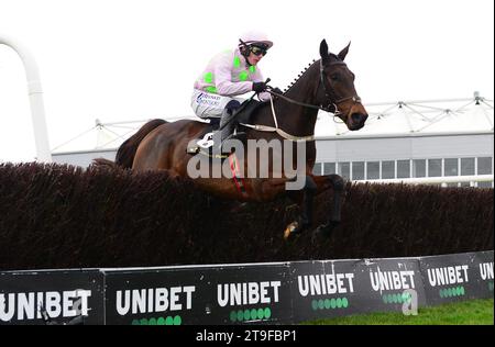 Gaelic Warrior, der von Jockey Paul Townend auf dem Weg zum Sieg der Conway Piling Beginners Chase am ersten Tag des Punchestown Winter Festivals auf der Punchestown Racecourse gefahren wurde. Bilddatum: Samstag, 25. November 2023. Stockfoto