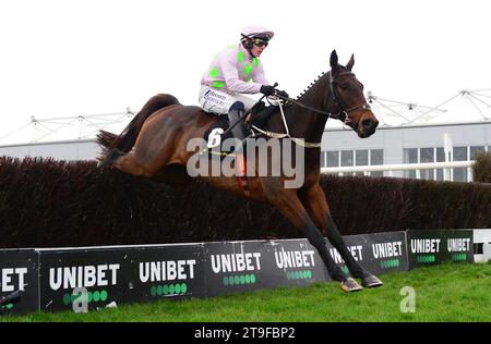 Gaelic Warrior, der von Jockey Paul Townend auf dem Weg zum Sieg der Conway Piling Beginners Chase am ersten Tag des Punchestown Winter Festivals auf der Punchestown Racecourse gefahren wurde. Bilddatum: Samstag, 25. November 2023. Stockfoto