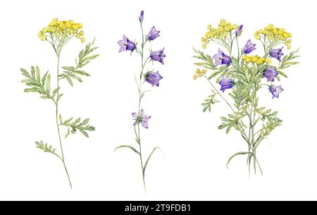 Aquarellfarben, allgemein tansy. Set mit gelben Feldblumen und Blumenstrauß. Clipart blaue Feldblumen. Handgezeichnete Illustration isoliert auf weißem Hintergrund Stockfoto